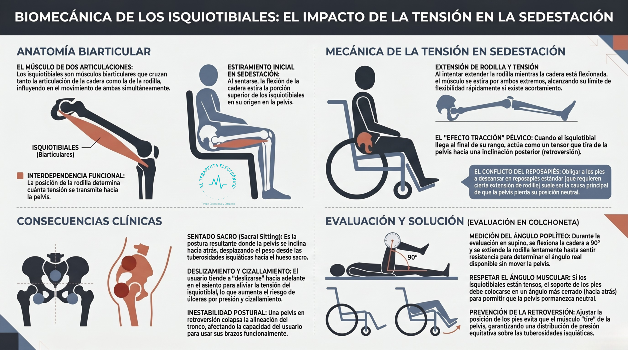 Biomecánica de los Isquiotibiales