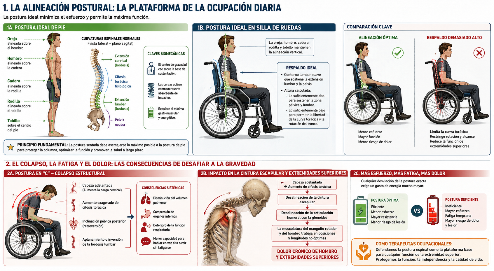 Cojín de sedestación con tecnología avanzada